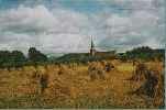 Click to view Stooks of Oats, Cwmbach - image...